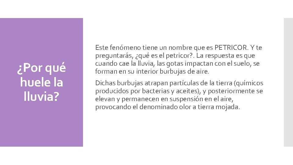 ¿Por qué huele la lluvia? Este fenómeno tiene un nombre que es PETRICOR. Y