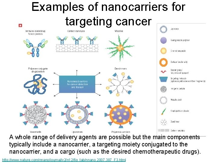 Examples of nanocarriers for targeting cancer A whole range of delivery agents are possible