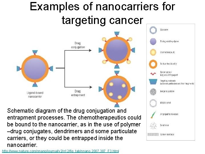 Examples of nanocarriers for targeting cancer Schematic diagram of the drug conjugation and entrapment