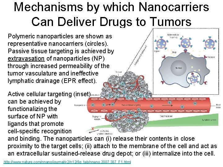 Mechanisms by which Nanocarriers Can Deliver Drugs to Tumors Polymeric nanoparticles are shown as