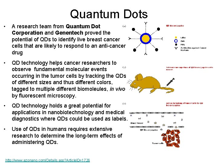 Quantum Dots • A research team from Quantum Dot Corporation and Genentech proved the