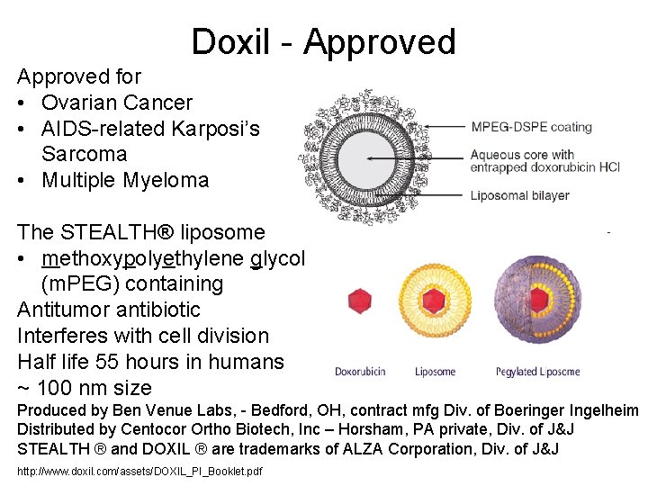 Doxil - Approved for • Ovarian Cancer • AIDS-related Karposi’s Sarcoma • Multiple Myeloma