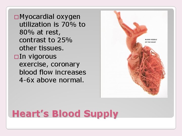 �Myocardial oxygen utilization is 70% to 80% at rest, contrast to 25% other tissues.