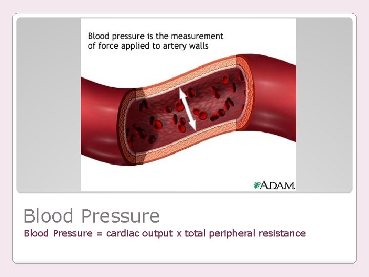Blood Pressure = cardiac output x total peripheral resistance 