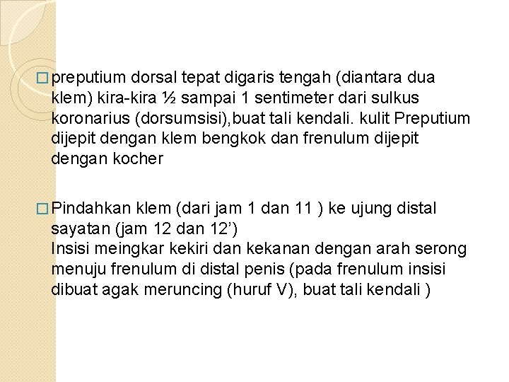 � preputium dorsal tepat digaris tengah (diantara dua klem) kira-kira ½ sampai 1 sentimeter