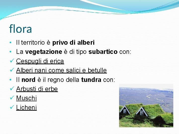 flora • Il territorio è privo di alberi • La vegetazione è di tipo