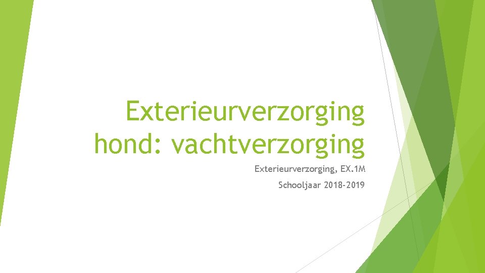 Exterieurverzorging hond: vachtverzorging Exterieurverzorging, EX. 1 M Schooljaar 2018 -2019 