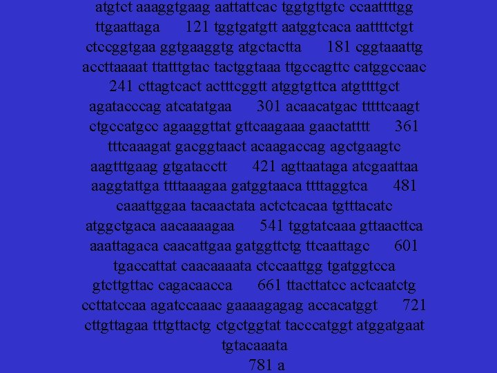 atgtct aaaggtgaag aattattcac tggtgttgtc ccaattttgg ttgaattaga 121 tggtgatgtt aatggtcaca aattttctgt ctccggtgaaggtg atgctactta 181 cggtaaattg