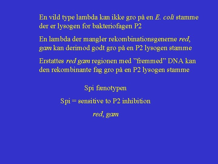 En vild type lambda kan ikke gro på en E. coli stamme der er