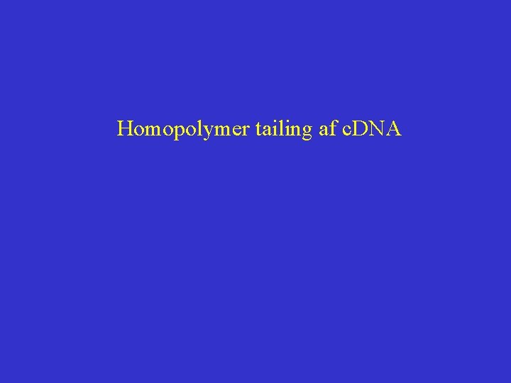 Homopolymer tailing af c. DNA 