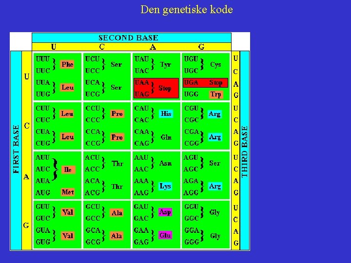 Den genetiske kode 