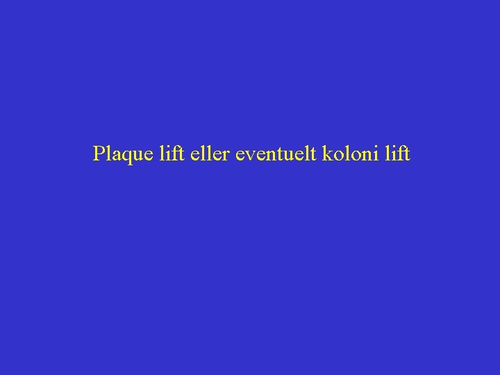 Plaque lift eller eventuelt koloni lift 