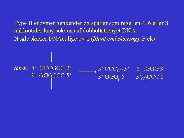 Type II enzymer genkender og spalter som regel en 4, 6 eller 8 nukleotider