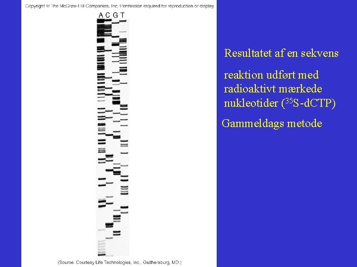 Resultatet af en sekvens reaktion udført med radioaktivt mærkede nukleotider (35 S-d. CTP) Gammeldags