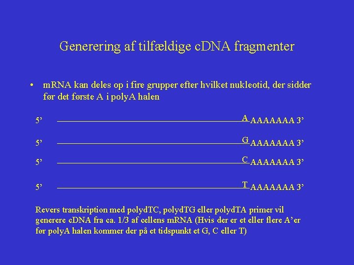 Generering af tilfældige c. DNA fragmenter • m. RNA kan deles op i fire