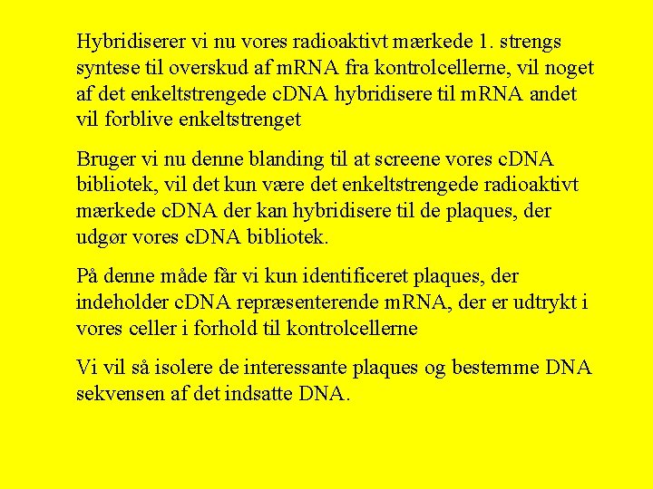 Hybridiserer vi nu vores radioaktivt mærkede 1. strengs syntese til overskud af m. RNA