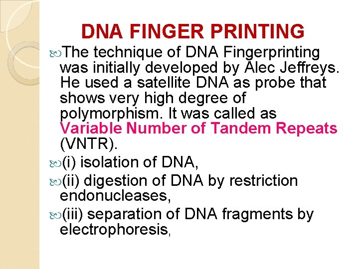 DNA FINGER PRINTING The technique of DNA Fingerprinting was initially developed by Alec Jeffreys. DNA FINGER PRINTING The technique of DNA Fingerprinting was initially developed by Alec Jeffreys.