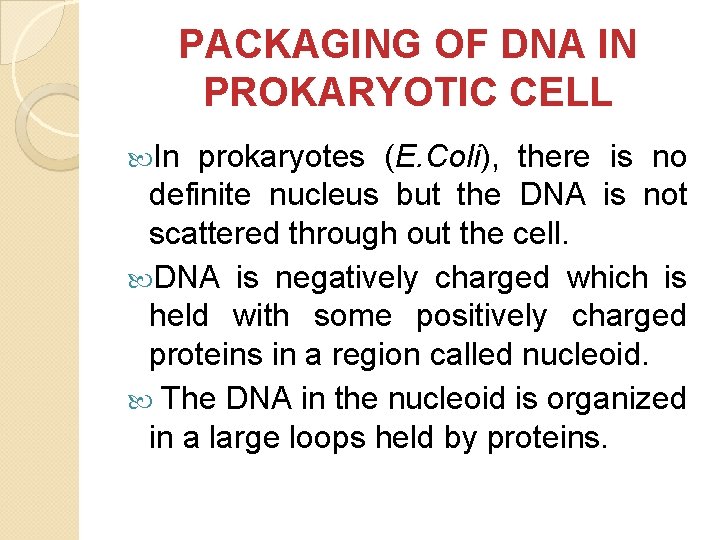 PACKAGING OF DNA IN PROKARYOTIC CELL In prokaryotes (E. Coli), there is no definite PACKAGING OF DNA IN PROKARYOTIC CELL In prokaryotes (E. Coli), there is no definite