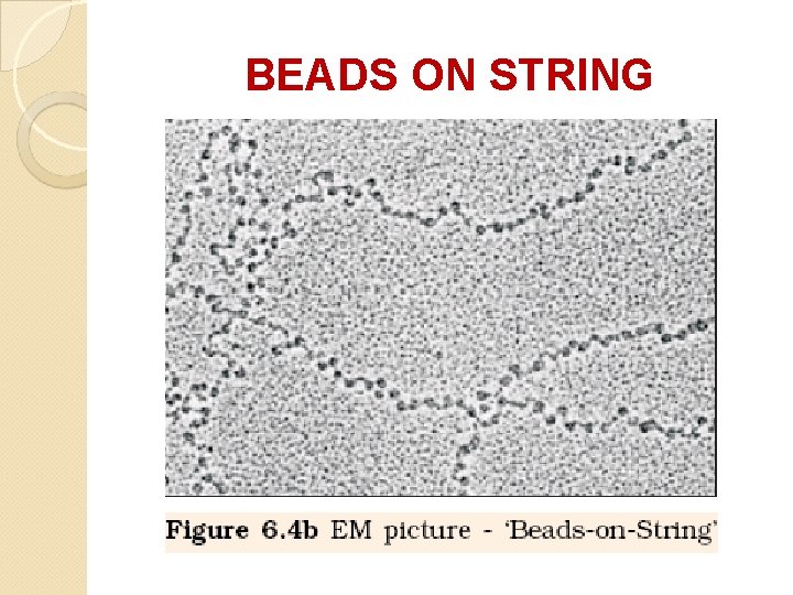 BEADS ON STRING BEADS ON STRING