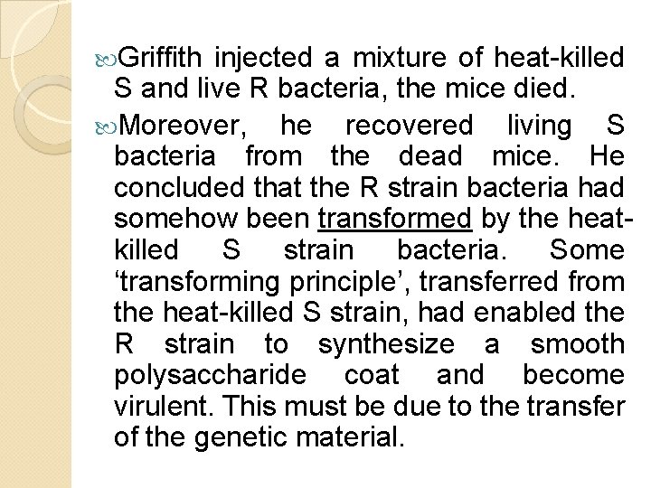 Griffith injected a mixture of heat-killed S and live R bacteria, the mice Griffith injected a mixture of heat-killed S and live R bacteria, the mice