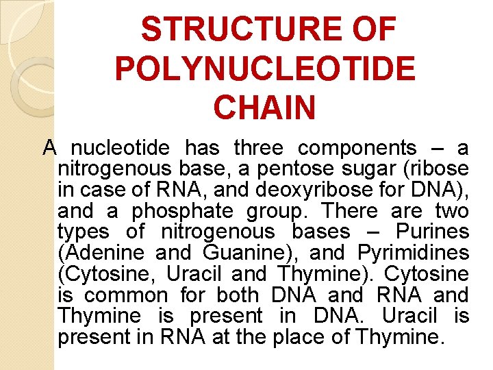 STRUCTURE OF POLYNUCLEOTIDE CHAIN A nucleotide has three components – a nitrogenous base, a STRUCTURE OF POLYNUCLEOTIDE CHAIN A nucleotide has three components – a nitrogenous base, a