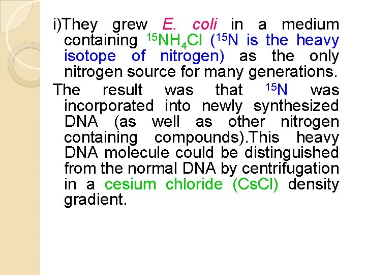 i)They grew E. coli in a medium containing 15 NH 4 Cl (15 N i)They grew E. coli in a medium containing 15 NH 4 Cl (15 N