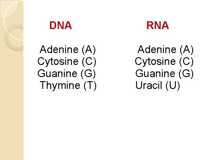 DNA Adenine (A) Cytosine (C) Guanine (G) Thymine (T) RNA Adenine (A) Cytosine (C) DNA Adenine (A) Cytosine (C) Guanine (G) Thymine (T) RNA Adenine (A) Cytosine (C)