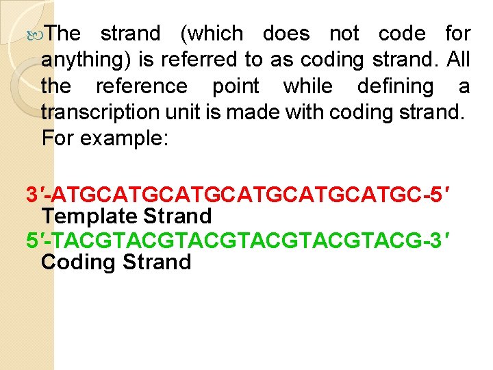 The strand (which does not code for anything) is referred to as coding The strand (which does not code for anything) is referred to as coding