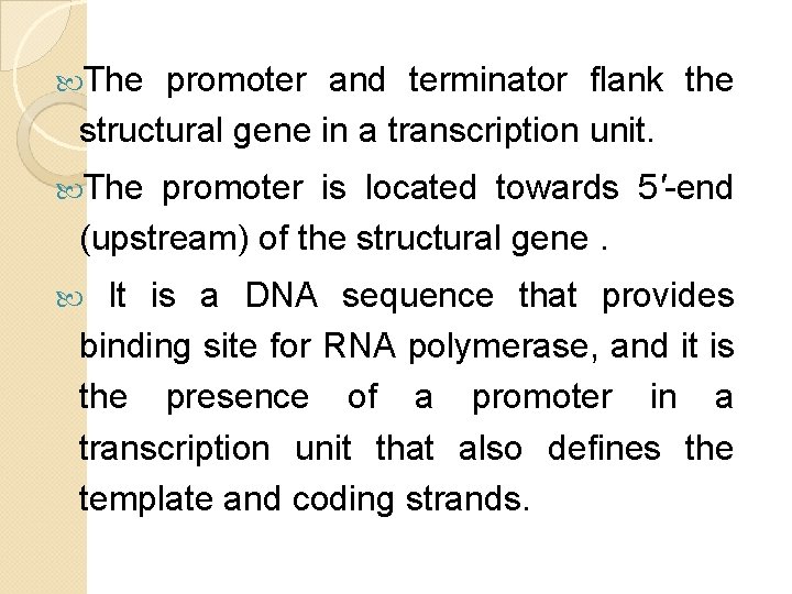 The promoter and terminator flank the structural gene in a transcription unit. The The promoter and terminator flank the structural gene in a transcription unit. The