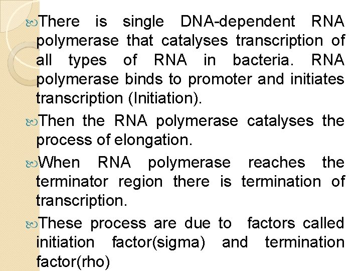 There is single DNA-dependent RNA polymerase that catalyses transcription of all types of There is single DNA-dependent RNA polymerase that catalyses transcription of all types of