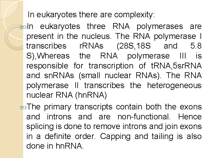 In eukaryotes there are complexity: In eukaryotes three RNA polymerases are present in the In eukaryotes there are complexity: In eukaryotes three RNA polymerases are present in the