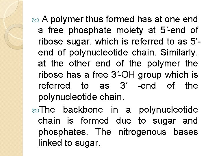 A polymer thus formed has at one end a free phosphate moiety at 5'-end A polymer thus formed has at one end a free phosphate moiety at 5'-end