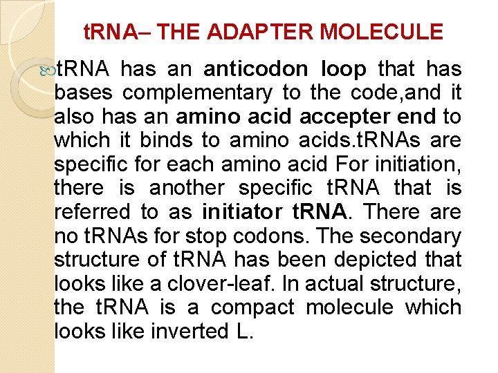t. RNA– THE ADAPTER MOLECULE t. RNA has an anticodon loop that has bases t. RNA– THE ADAPTER MOLECULE t. RNA has an anticodon loop that has bases