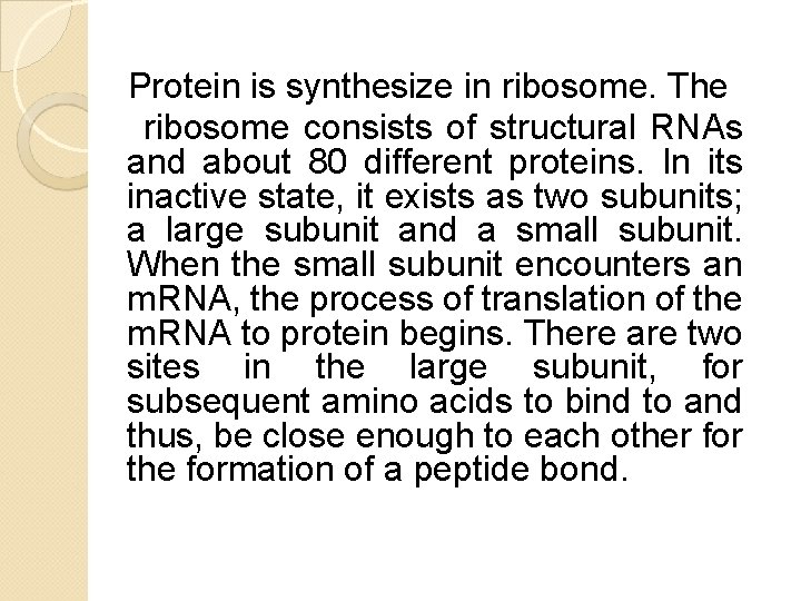 Protein is synthesize in ribosome. The ribosome consists of structural RNAs and about 80 Protein is synthesize in ribosome. The ribosome consists of structural RNAs and about 80
