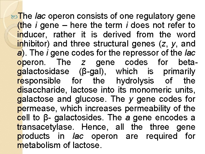The lac operon consists of one regulatory gene (the i gene – here The lac operon consists of one regulatory gene (the i gene – here