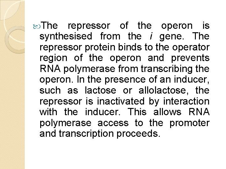 The repressor of the operon is synthesised from the i gene. The repressor The repressor of the operon is synthesised from the i gene. The repressor