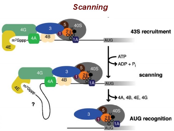Scanning Scanning