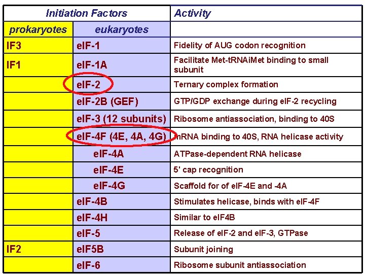 Initiation Factors prokaryotes Activity eukaryotes IF 3 e. IF-1 Fidelity of AUG codon recognition Initiation Factors prokaryotes Activity eukaryotes IF 3 e. IF-1 Fidelity of AUG codon recognition