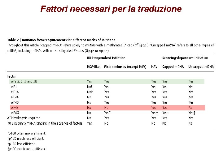 Fattori necessari per la traduzione Fattori necessari per la traduzione