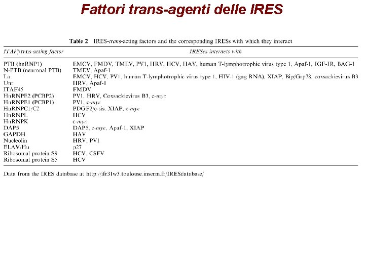 Fattori trans-agenti delle IRES Fattori trans-agenti delle IRES