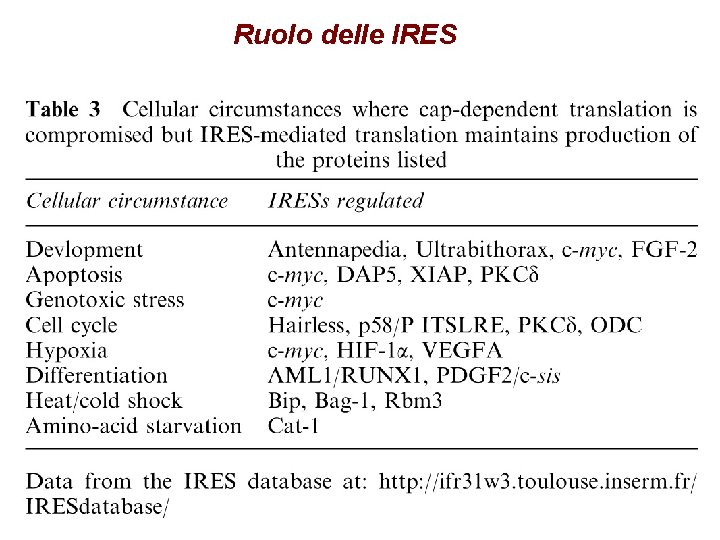 Ruolo delle IRES Ruolo delle IRES