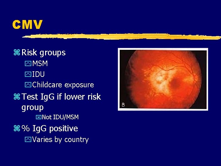 CMV z Risk groups y. MSM y. IDU y. Childcare exposure z Test Ig.