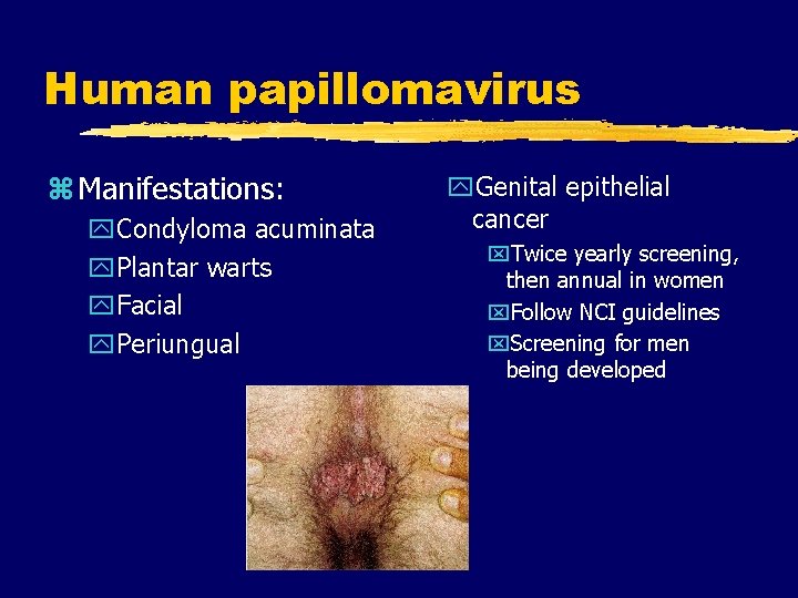 Human papillomavirus z Manifestations: y. Condyloma acuminata y. Plantar warts y. Facial y. Periungual