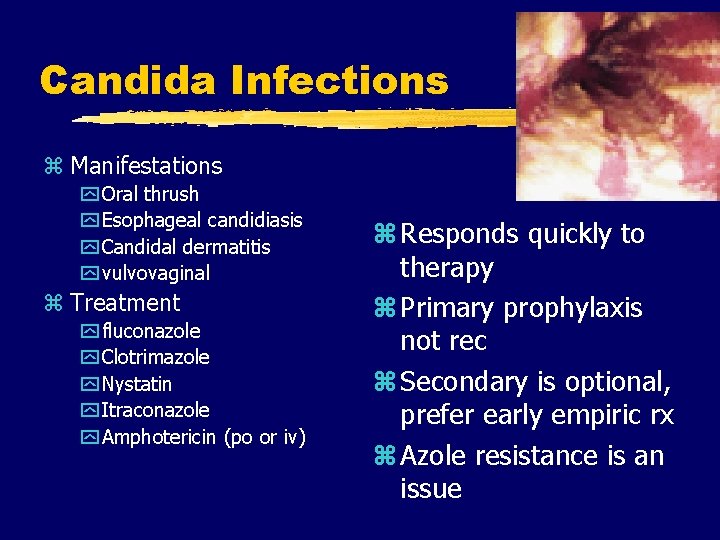 Candida Infections z Manifestations y Oral thrush y Esophageal candidiasis y Candidal dermatitis y