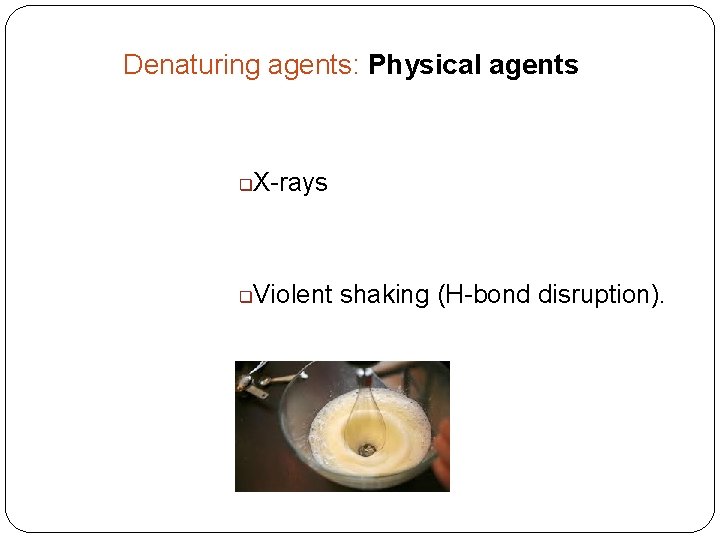 Denaturing agents: Physical agents q X-rays q Violent shaking (H-bond disruption). 