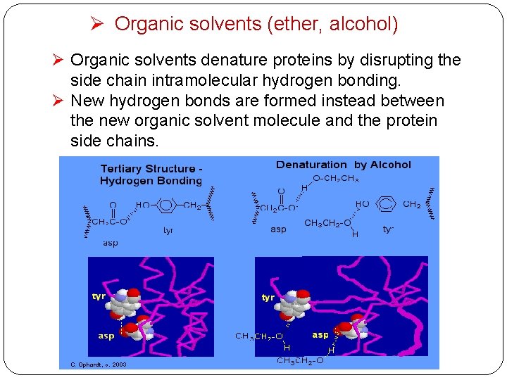 Lecture 3 Physical and chemical properties of proteins
