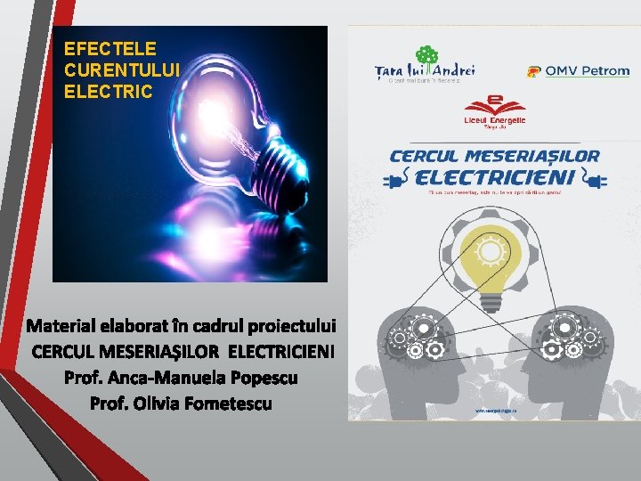 EFECTELE CURENTULUI ELECTRIC Material elaborat în cadrul proiectului CERCUL MESERIAȘILOR ELECTRICIENI Prof. Anca-Manuela Popescu