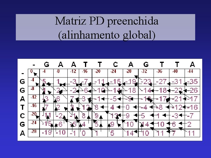  Matriz PD preenchida (alinhamento global) 