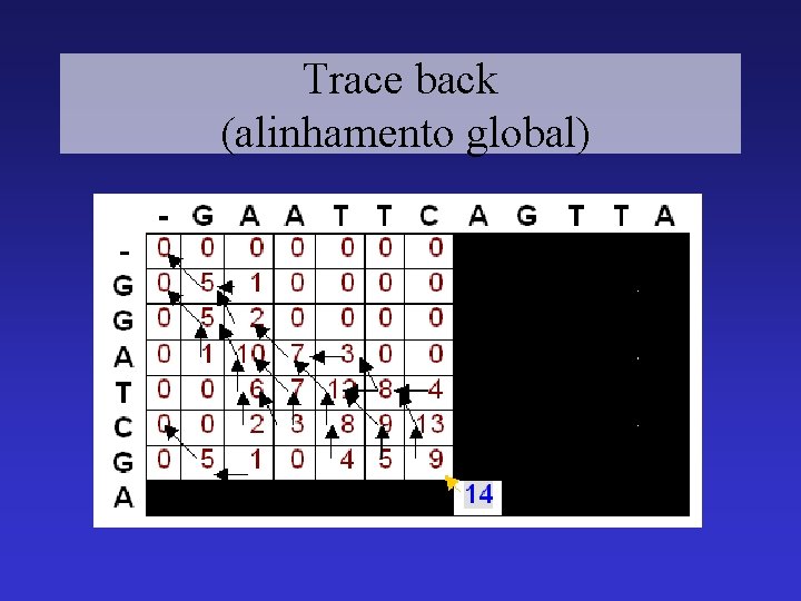 Trace back (alinhamento global) 