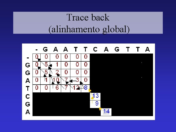 Trace back (alinhamento global) 